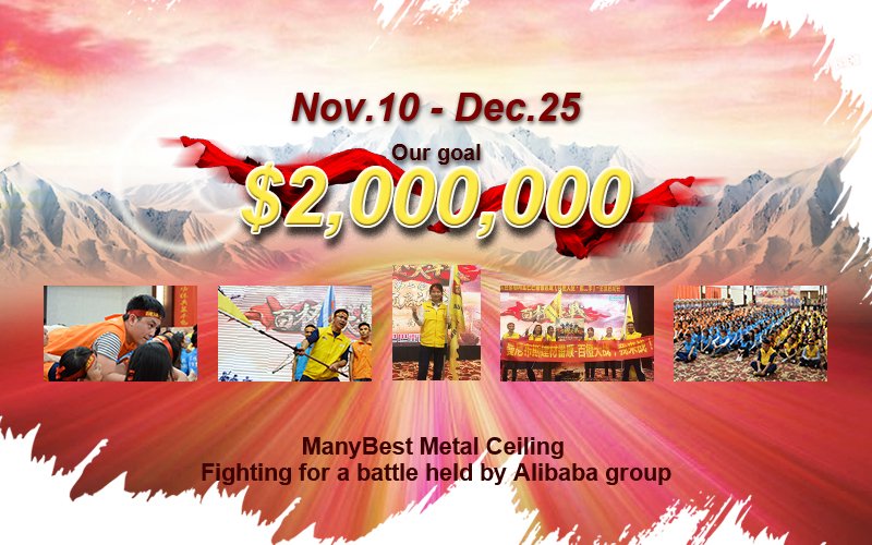 Fight for Goal- US$2 million (Aluminium False Ceiling)